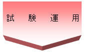 試験運用