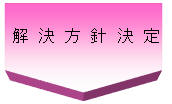 解決方針決定